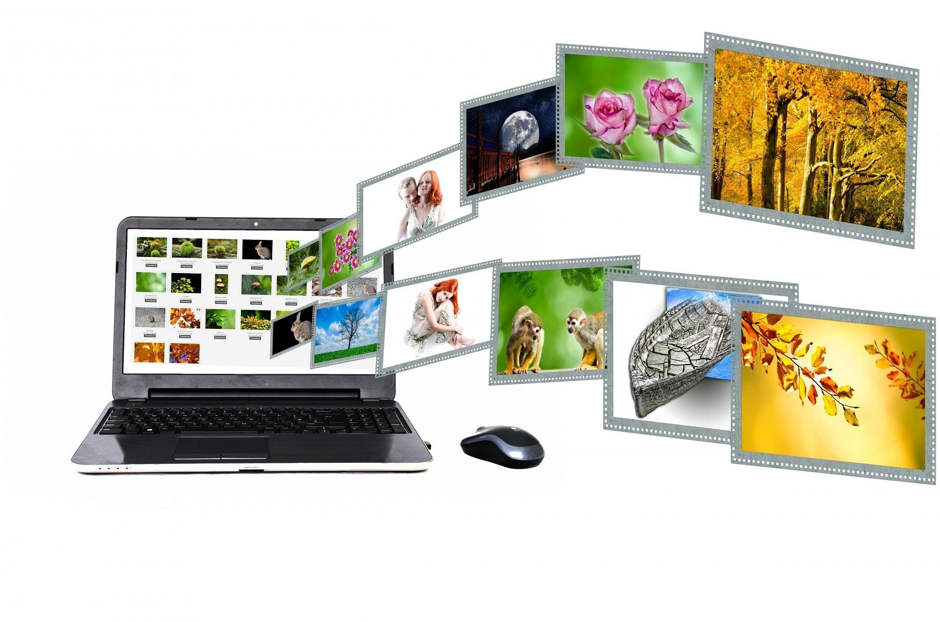 Content Management